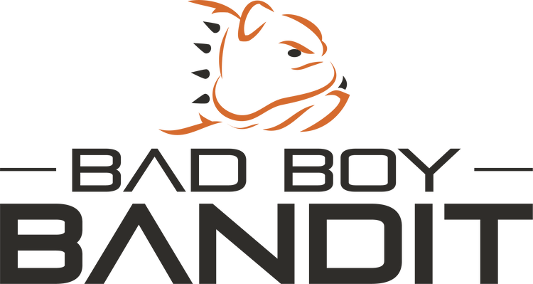 Bad Boy Bandit 4x4 UTV