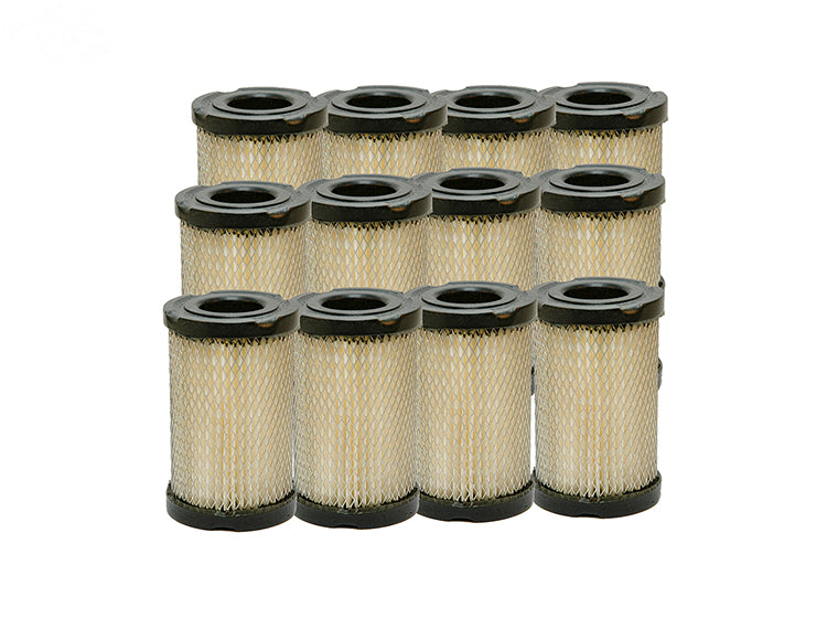 # 12934 MASTER CARTON REPLACEMENT FILTER FOR TECUMSEH