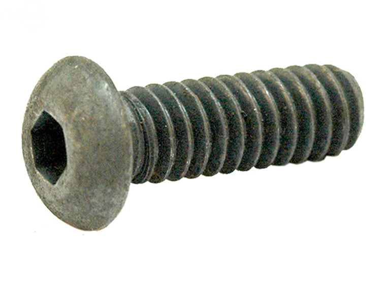 # 5517 SCRAPER BAR BOLTS SNOWBLOWER