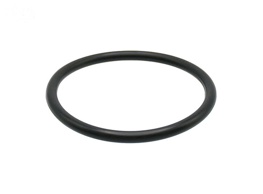 # 17558  LARGE O-RING FOR VP UTILITY JUGS