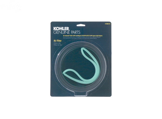 # 4788301S1     CARDED OEM AIR FILTER KIT