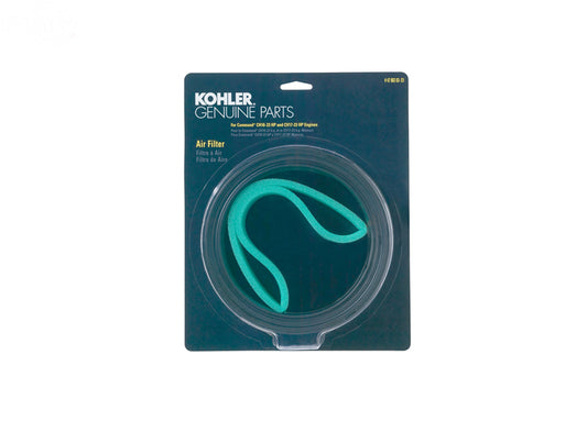 # 4788303S1     CARDED OEM AIR FILTER KIT