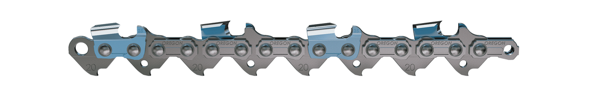 Oregon 16 in. Chainsaw Bar & H66 Chain, Fits Craftsman, Echo, Homelite, Poulan and others (557505)